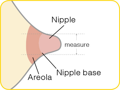 MEDELA BREASTSHIELD ONE PIECE BREAST SHIELD FLANGE STD 24 mm VALVE MEMBRANE  x1