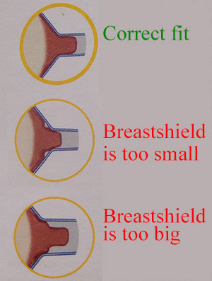 Breastshield-Sizes